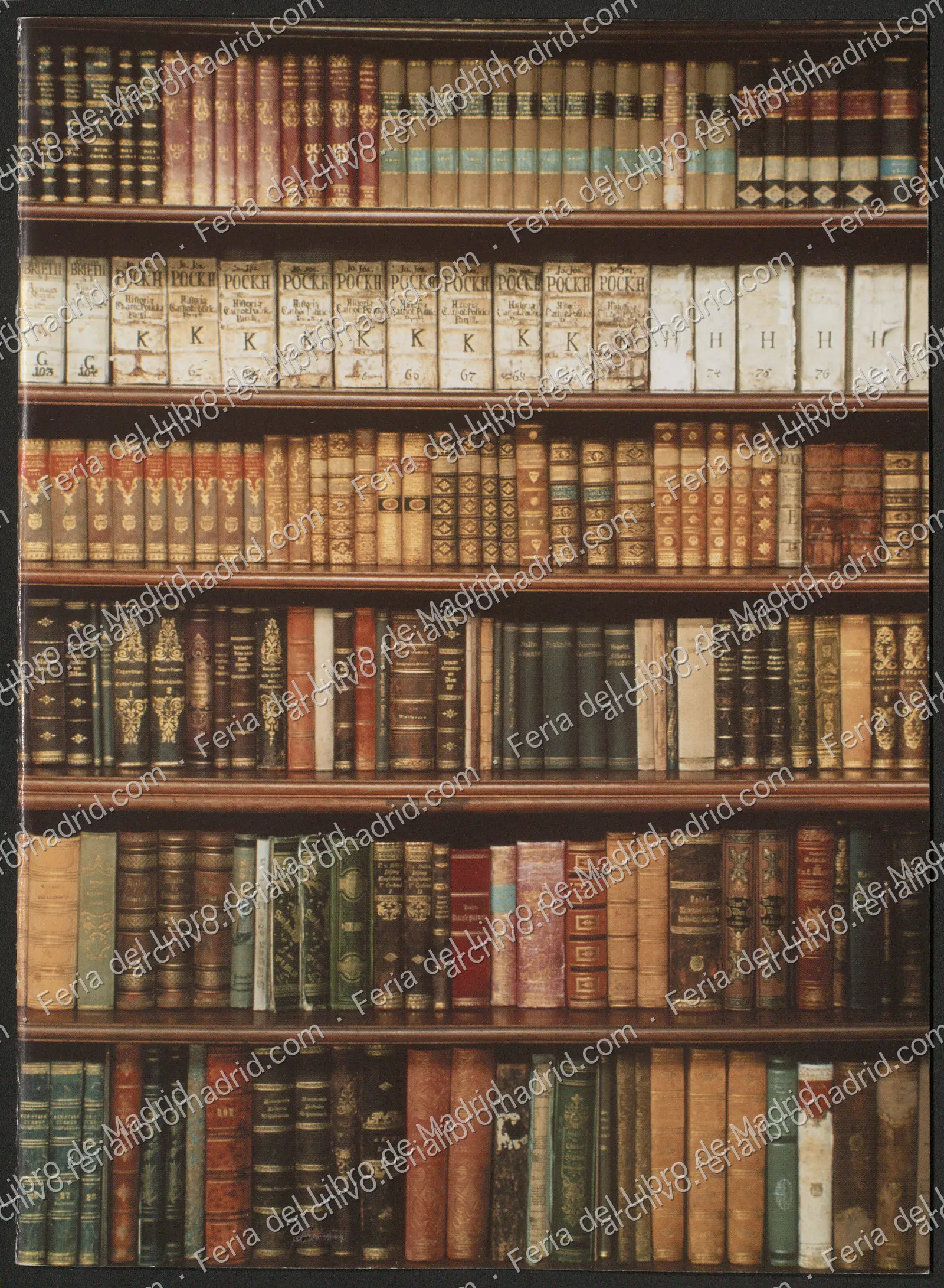 FLM60_2001_06 — página 1