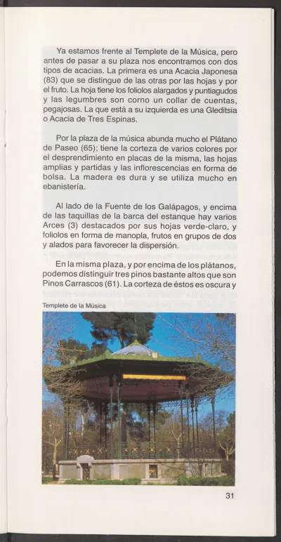 Página 33