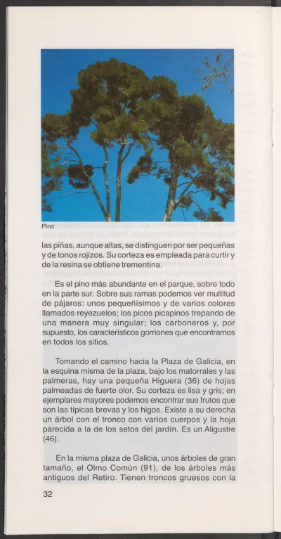 Página 34