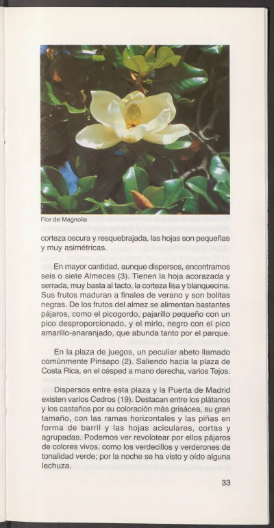 Página 35