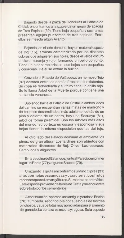 Página 37
