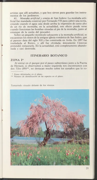 Página 28