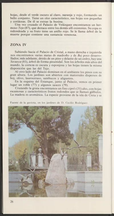 Página 33