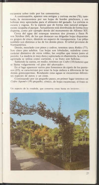 Página 34