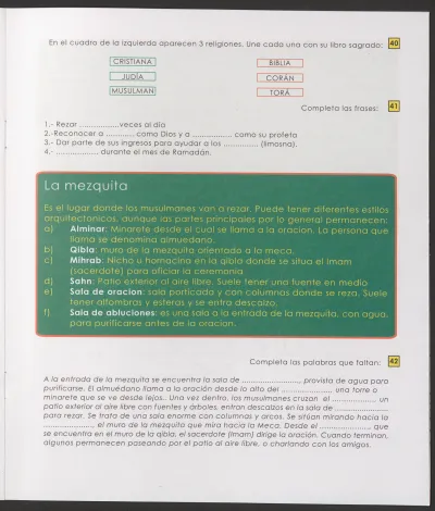 Página 17
