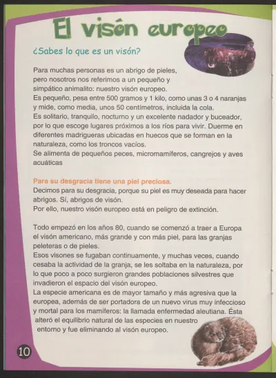Página 10