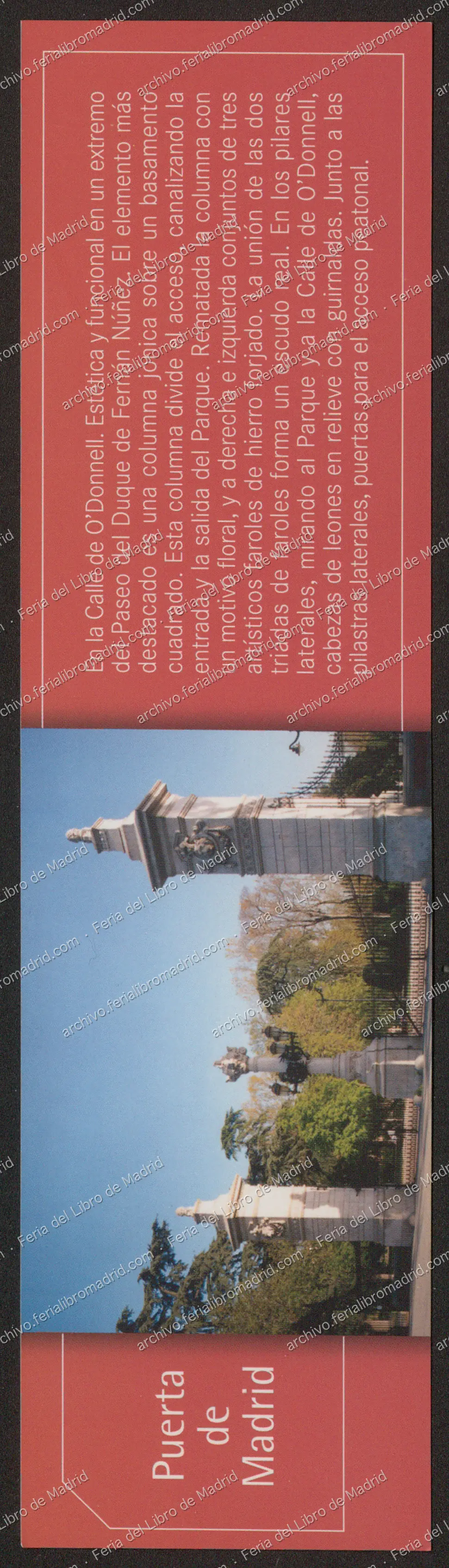 FLM66_2007_43 — página 1