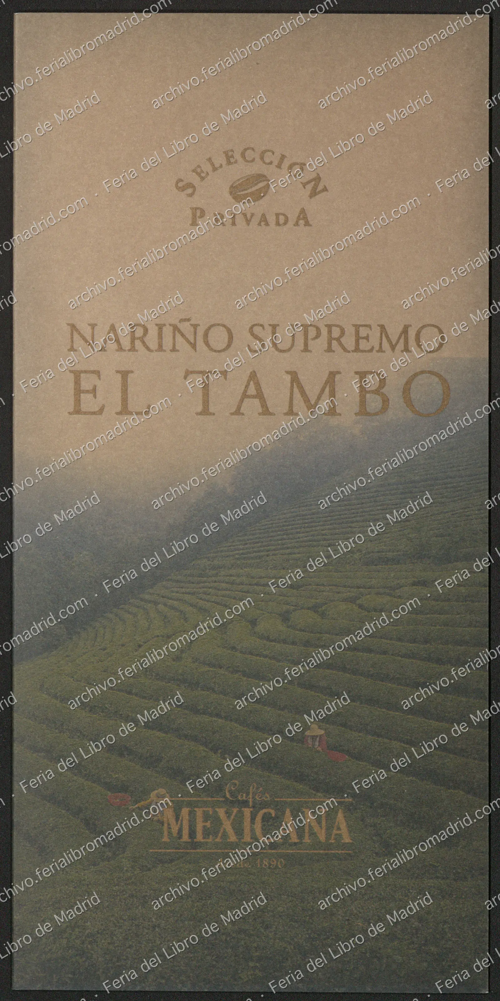 FLM67_2008_33 — página 1