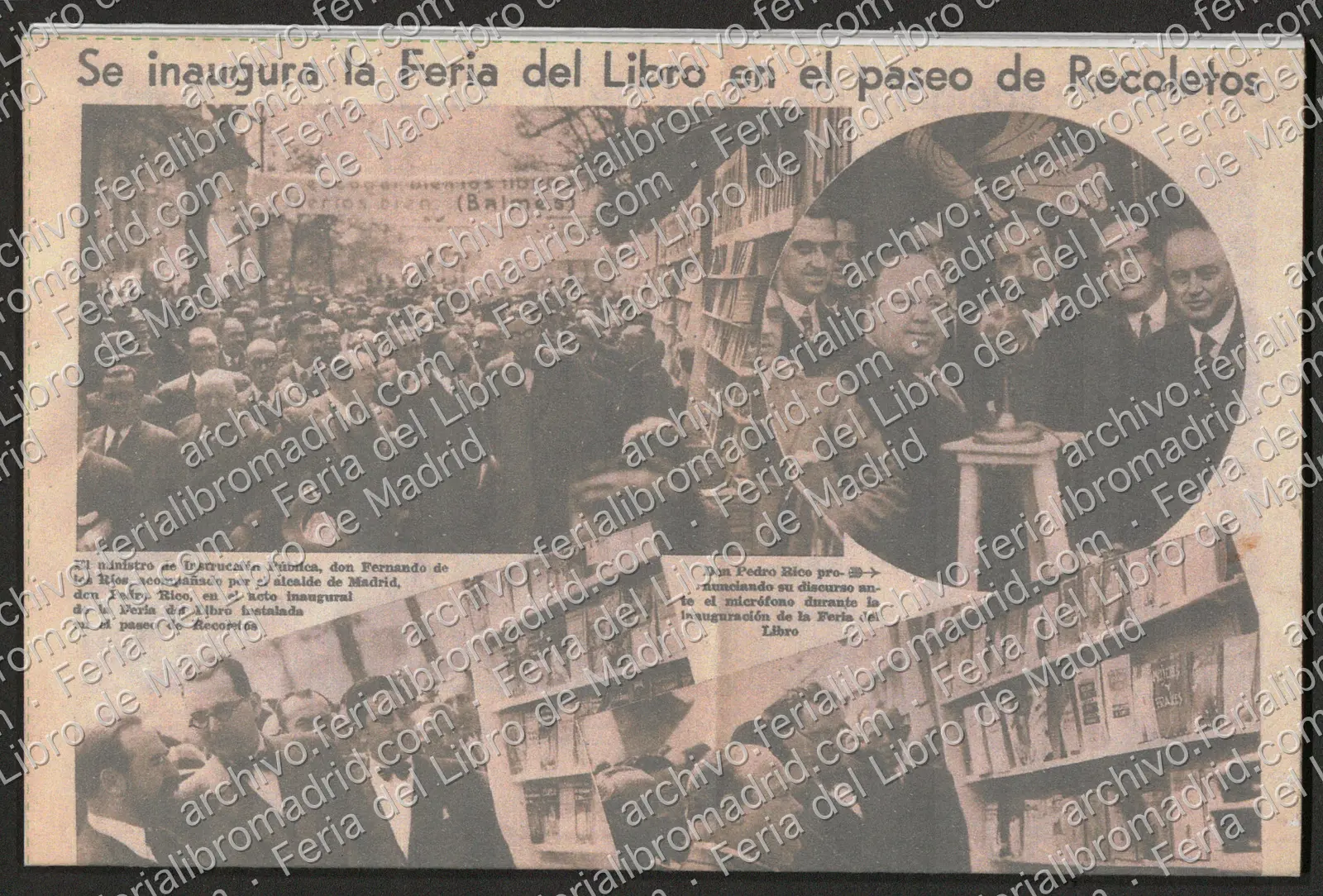 FLM68_2009_12 — página 1
