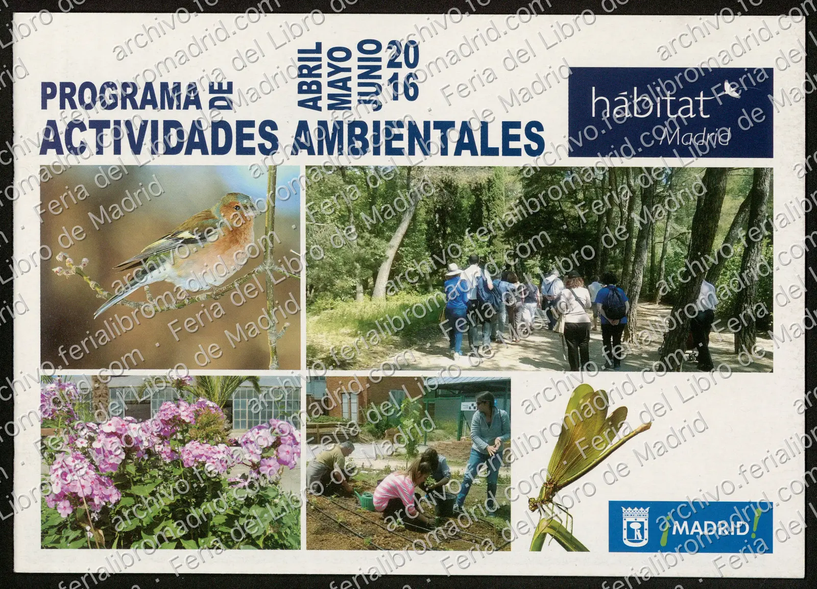FLM75_2016_14 — página 1
