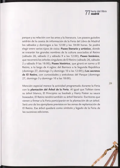 Página 31