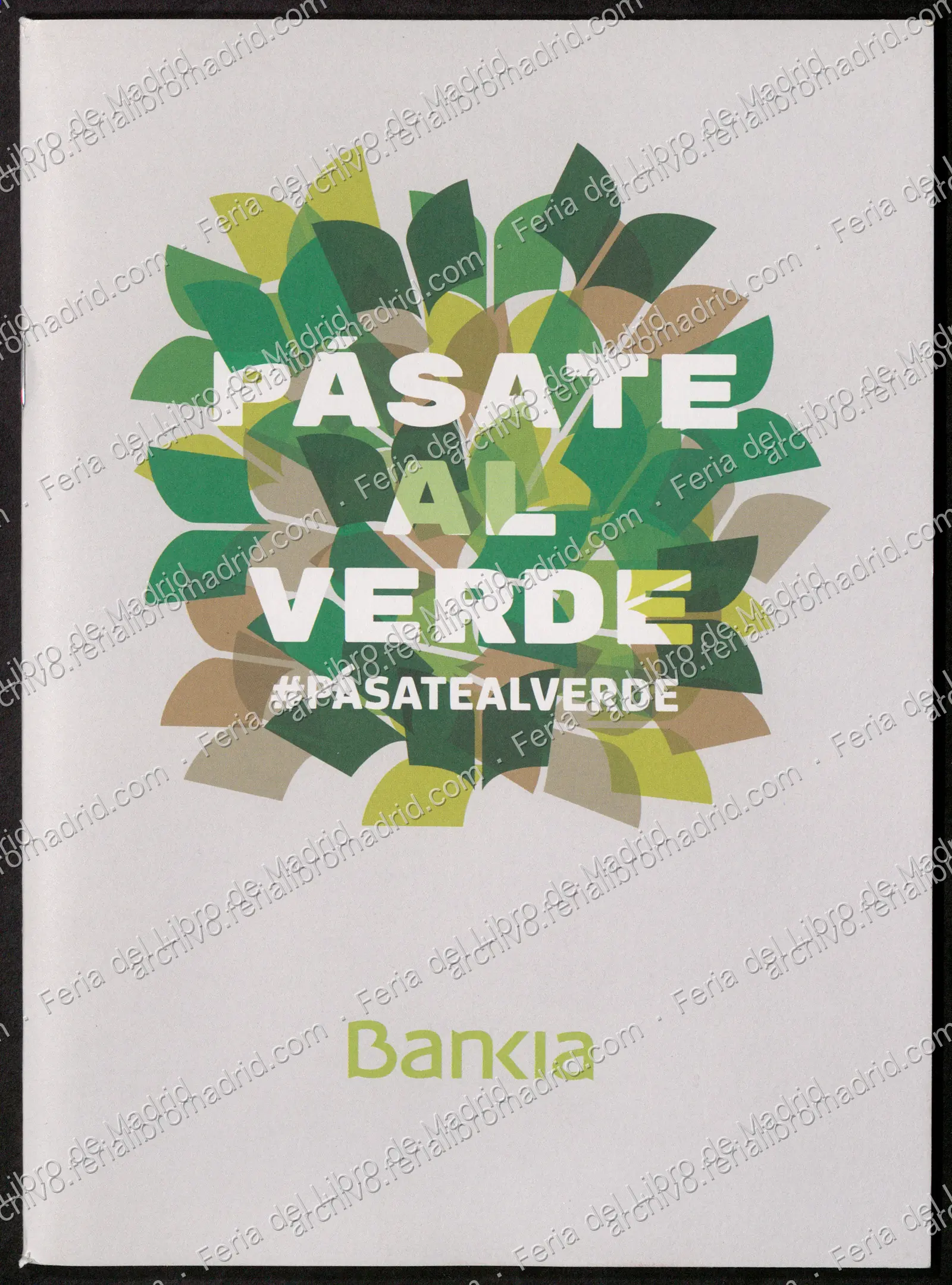 FLM78_2019_19 — página 1