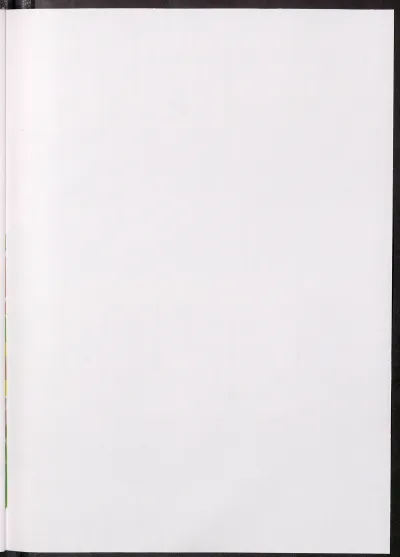 Página 41