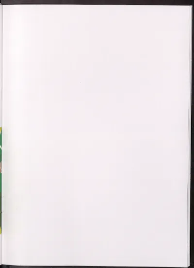 Página 45