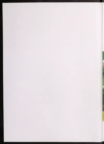 Página 60