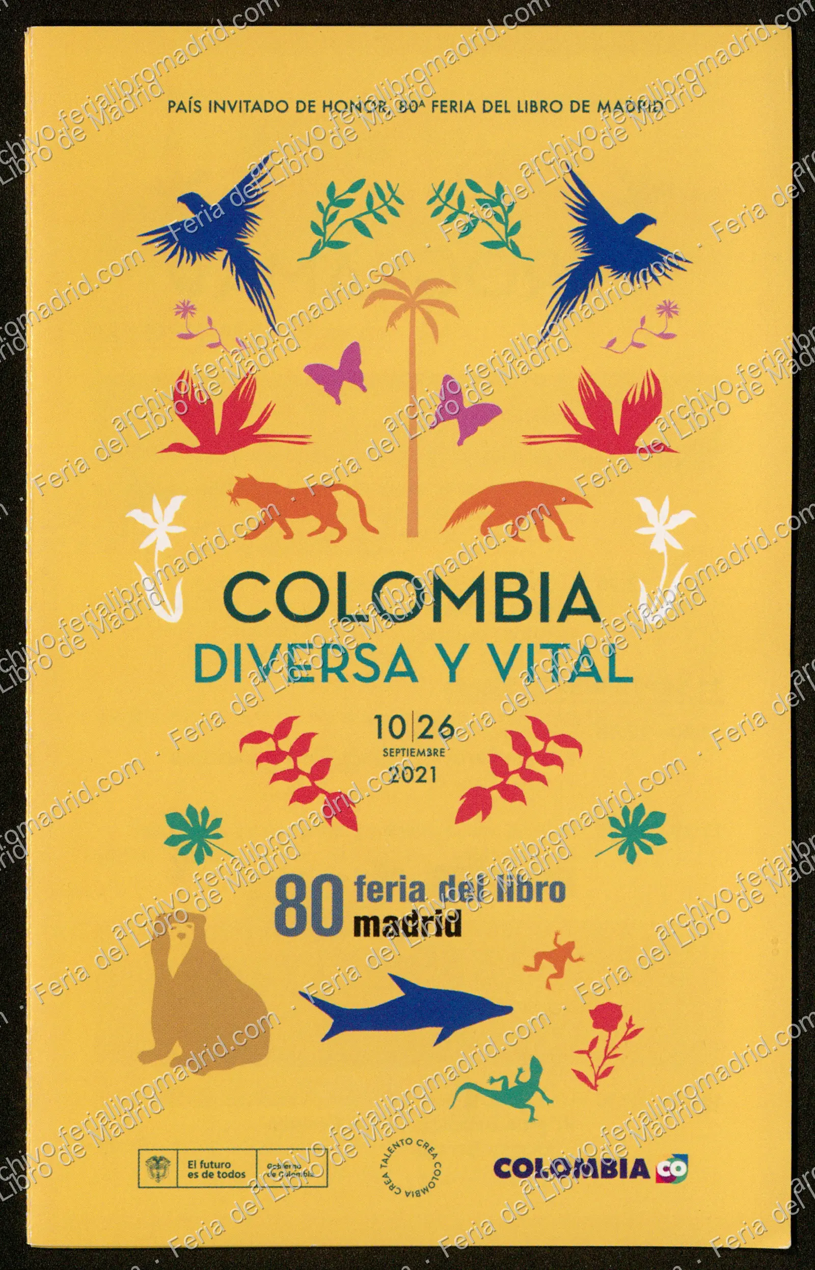 FLM80_2021_05 — página 1