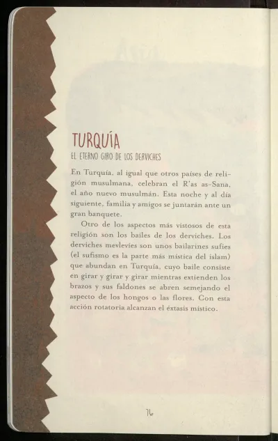 Página 78